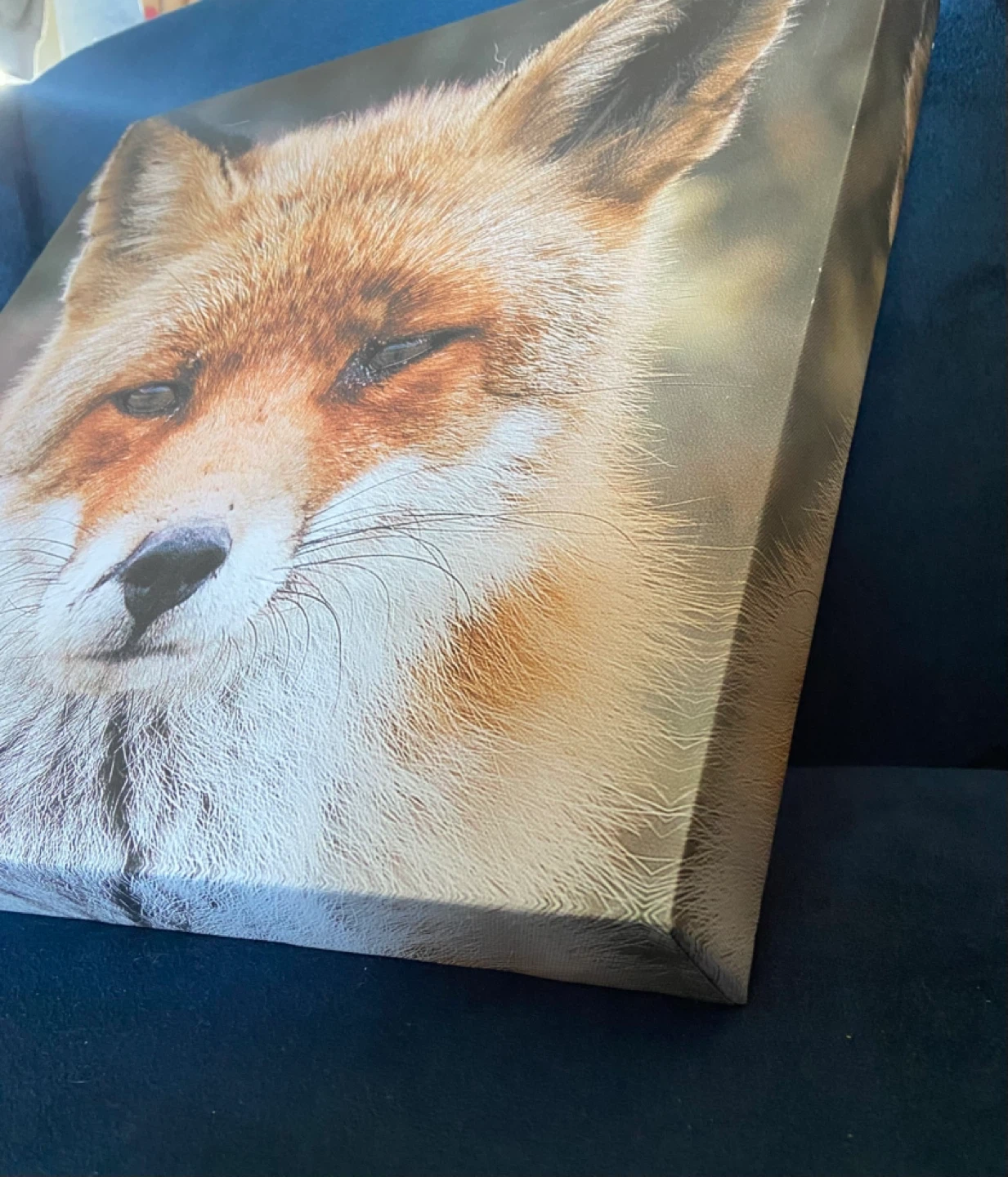 EUC: BouClair Art Canvas Print of Fox 12 x 12 x 1.5” - photo 3