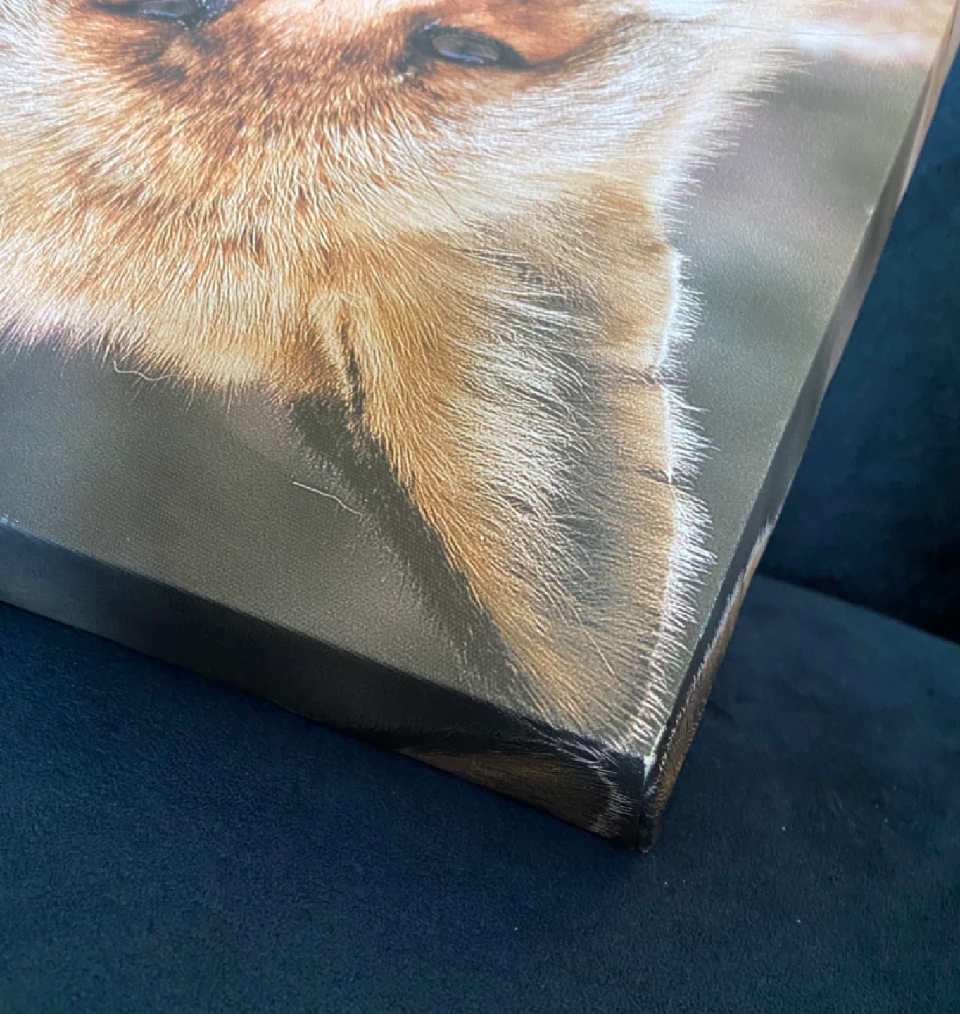 EUC: BouClair Art Canvas Print of Fox 12 x 12 x 1.5” - photo 4