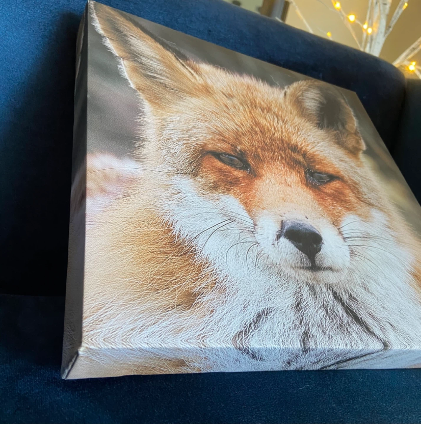 EUC: BouClair Art Canvas Print of Fox 12 x 12 x 1.5” - photo 2