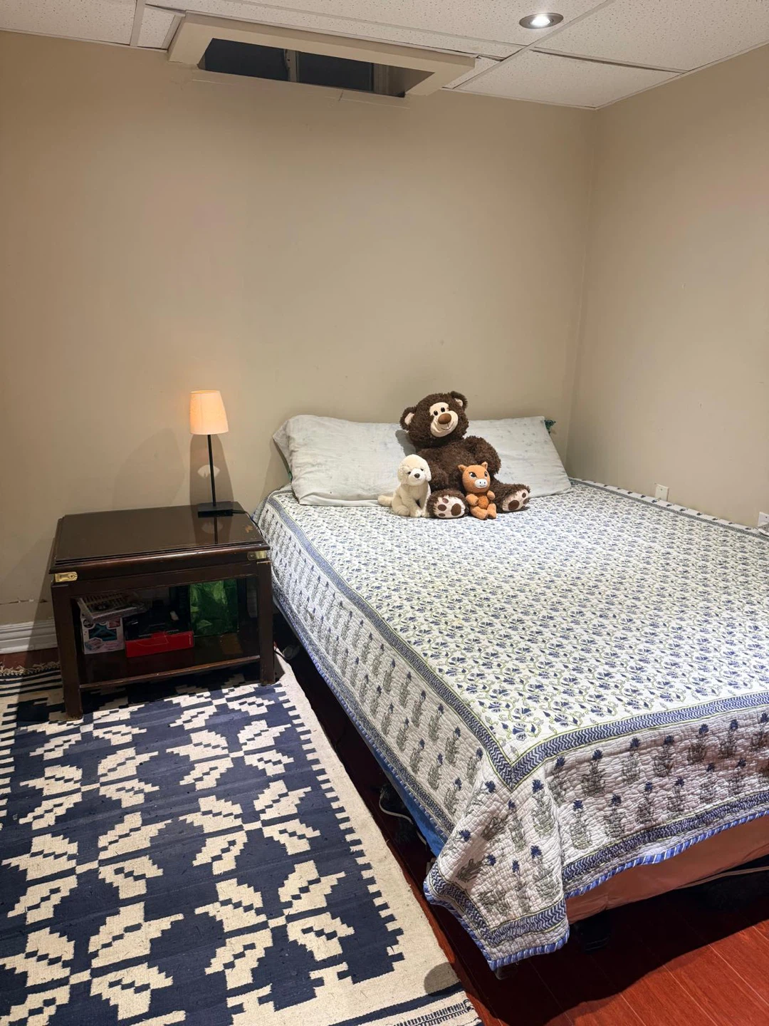 Rental Basement