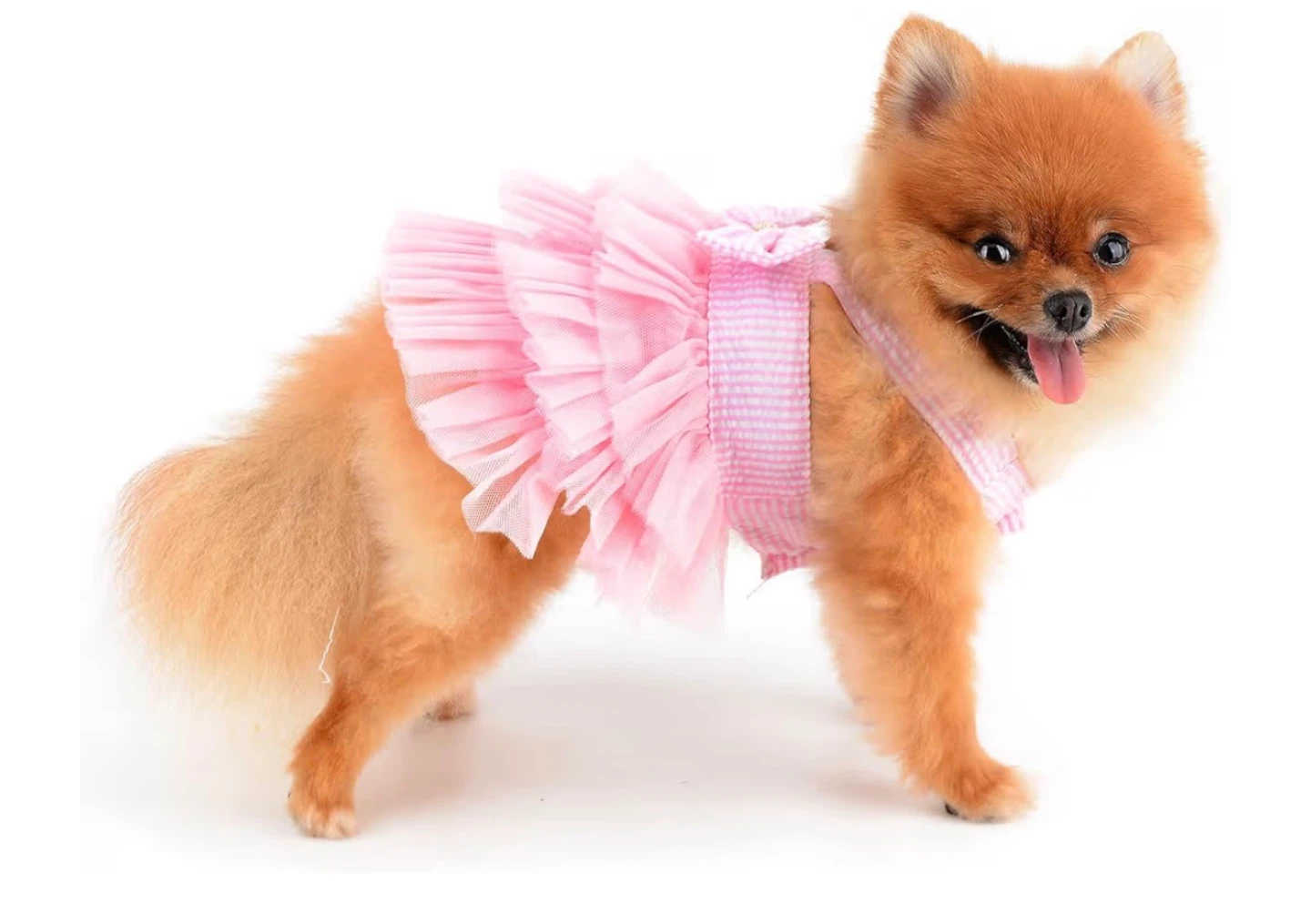 Dog Dresses and Collar Set - photo 4