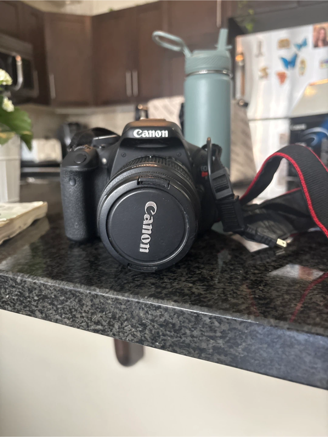 Canon EOS Rebel T3 Digital Camera