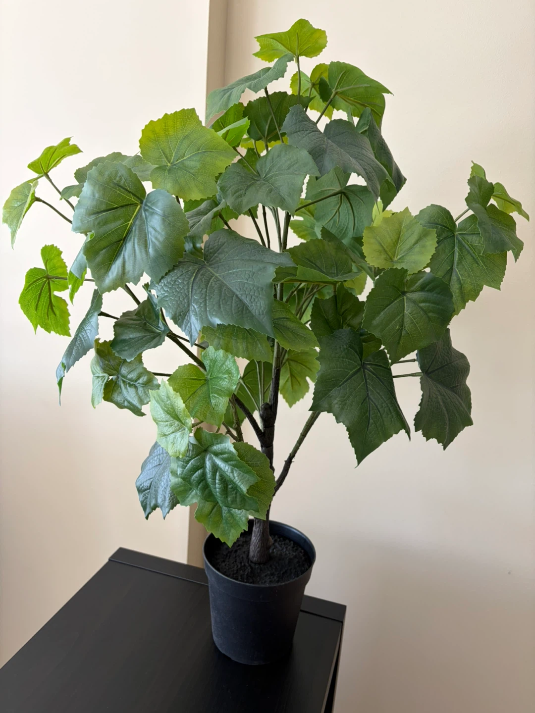 IKEA - artificial plant - photo 4