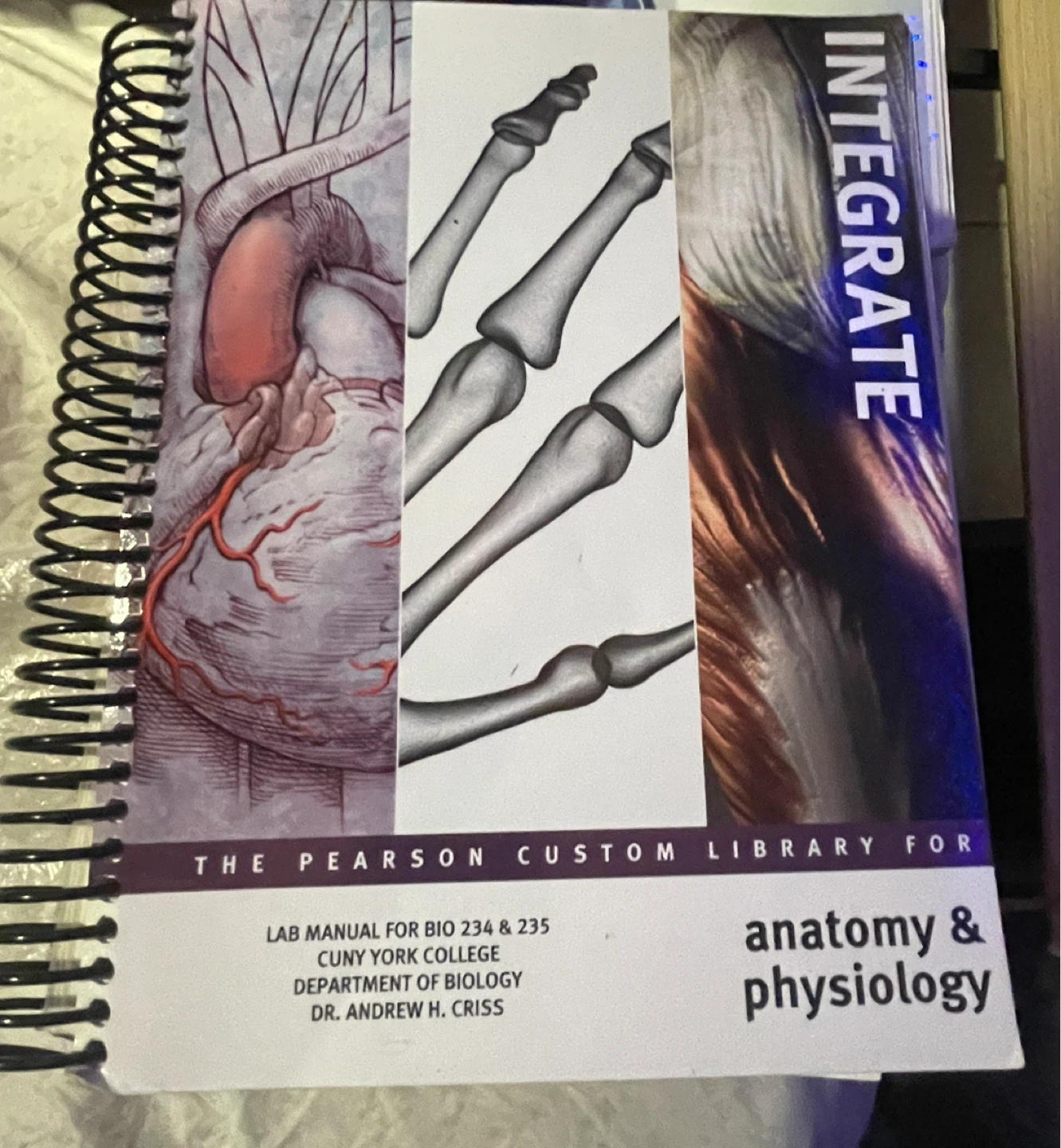 Anatomy & Physiology Lab Manual