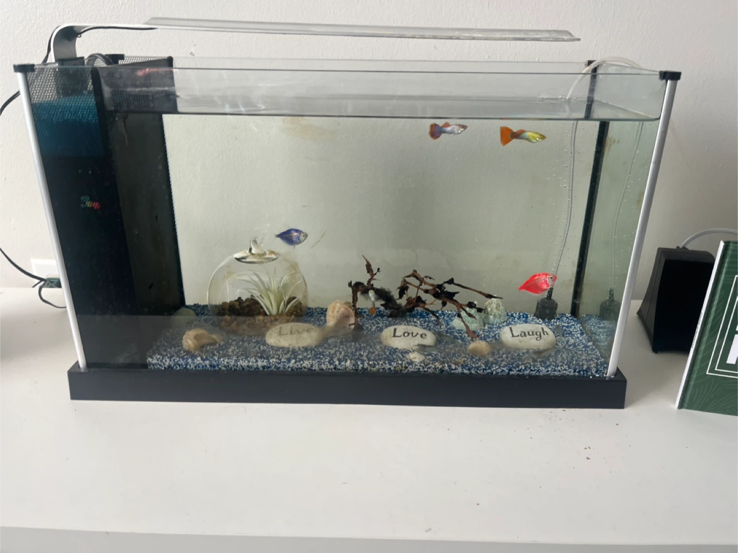 Hagen Aquarium Fish Tank - photo 4