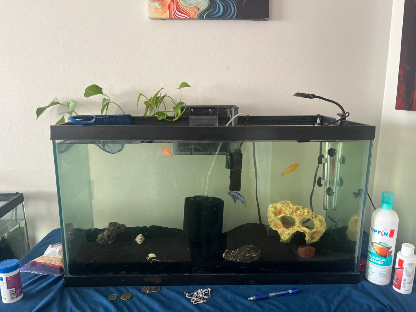 Hagen Aquarium Fish Tank