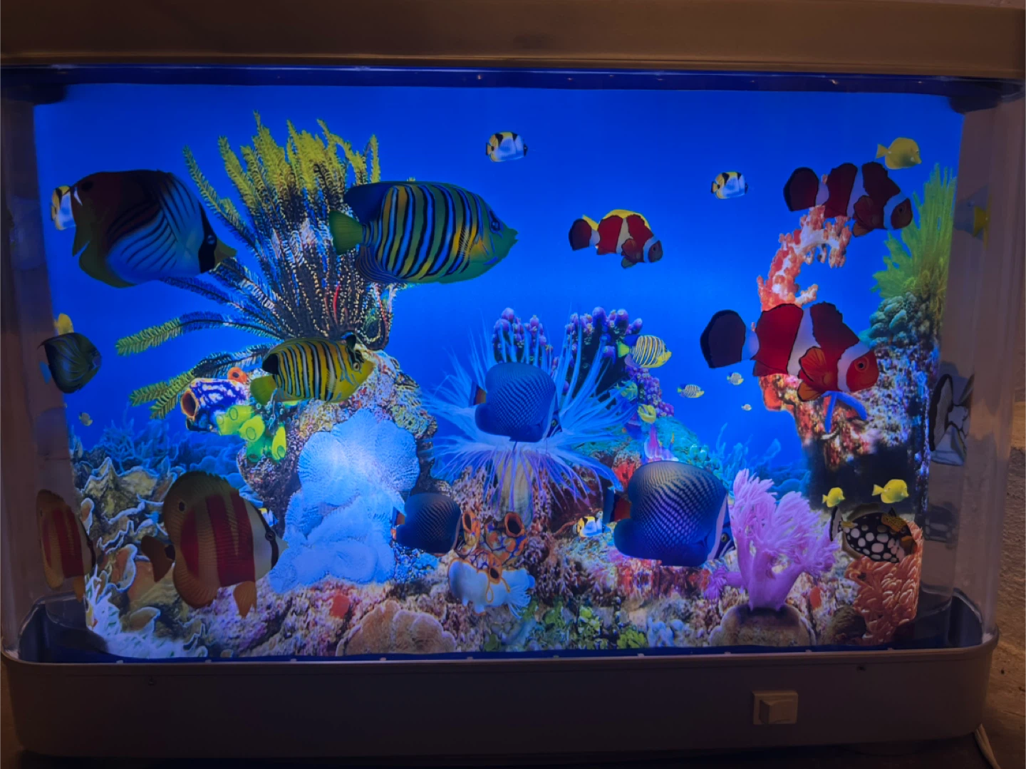Decorative Desktop Aquarium with Artificial Fish - photo 2