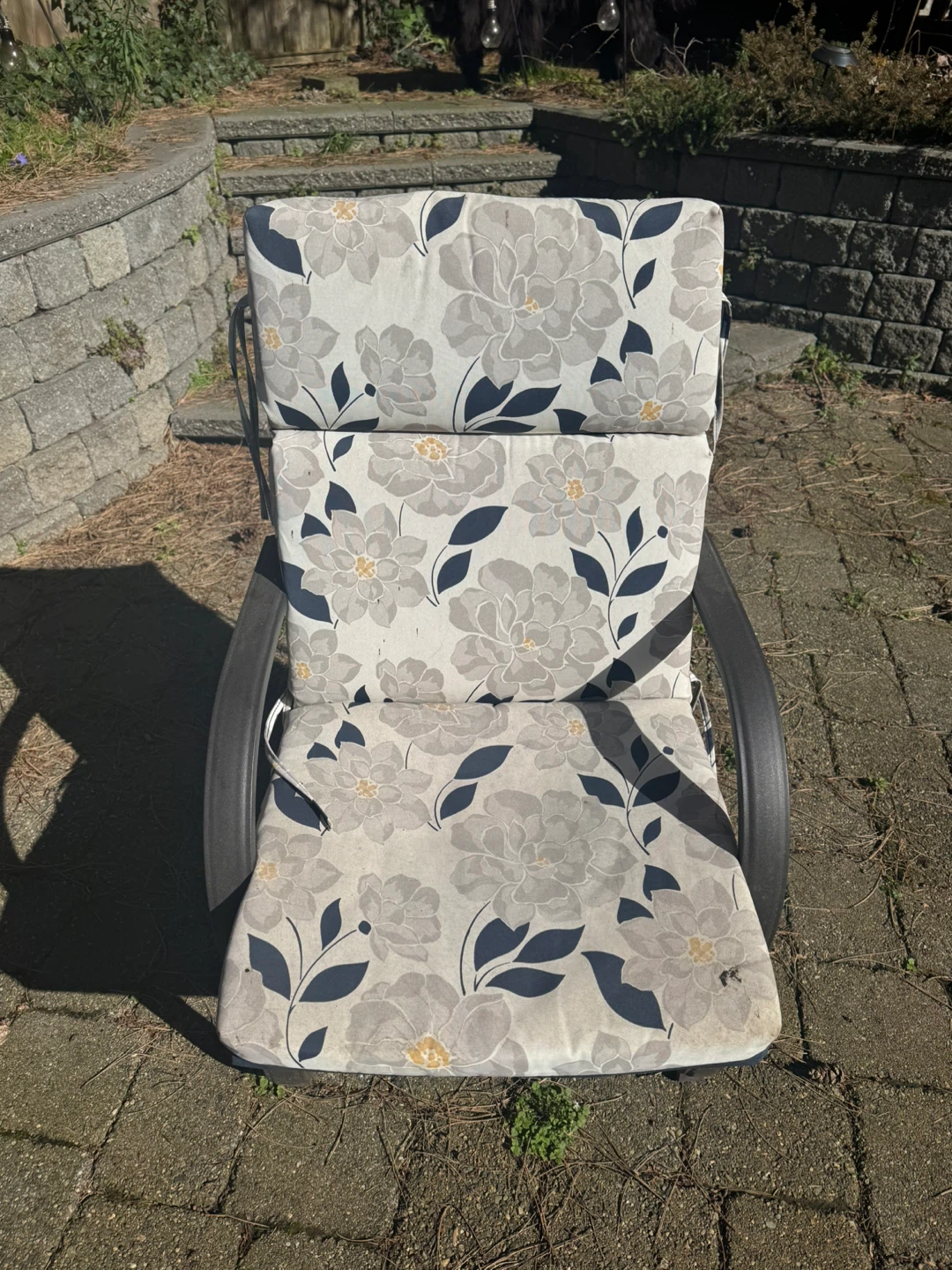 6 Patio Lounger Chair with 4 Cushions