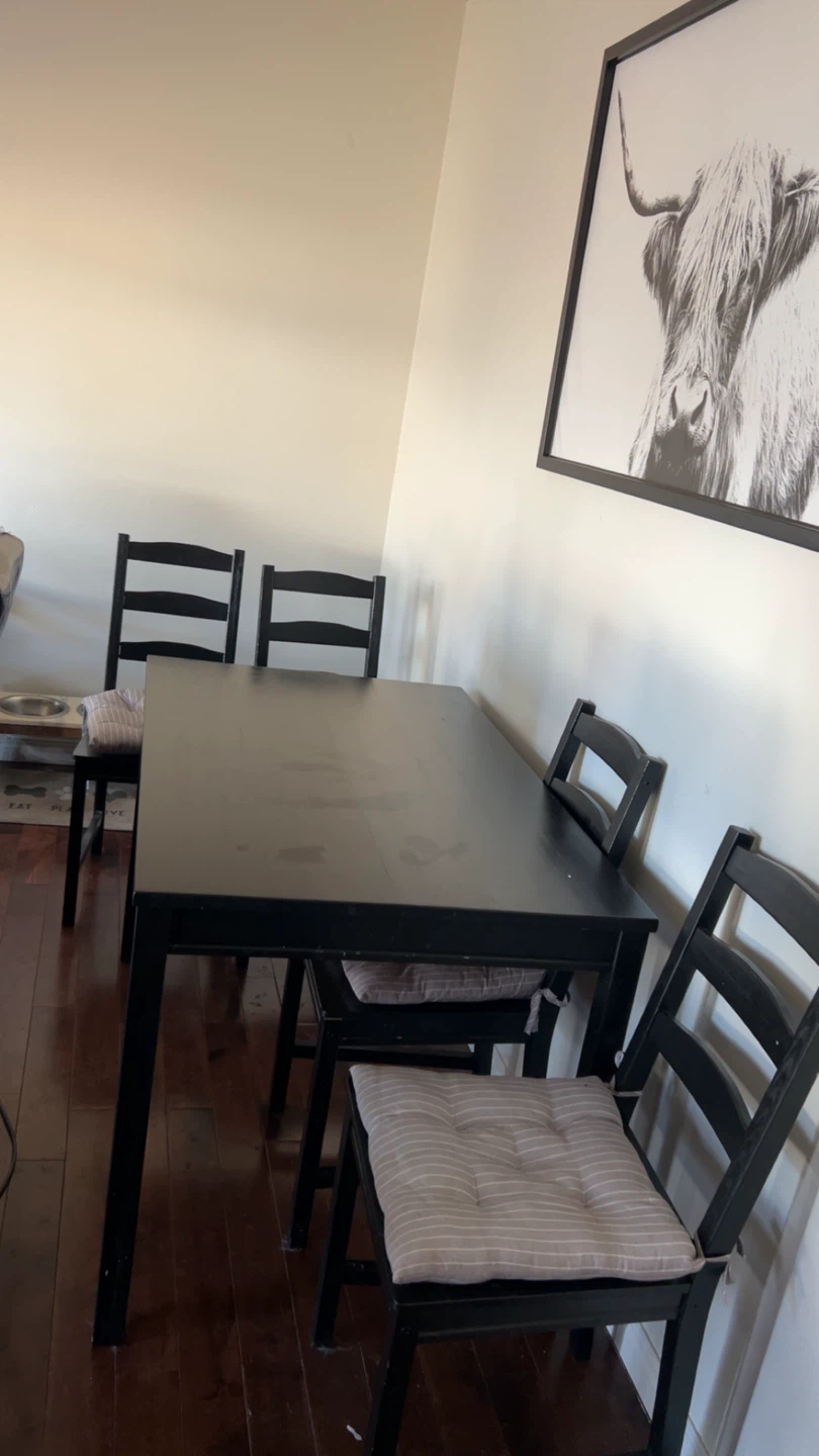 Black Dining Table with 4 Chairs