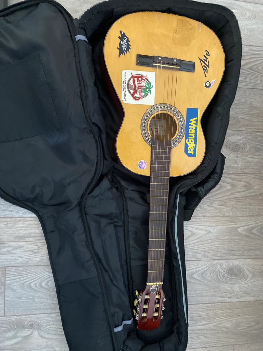 Acoustic Guitar with Gig Bag
