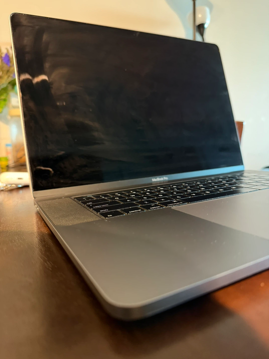 Apple MacBook Pro 15- inch, 2016 - photo 3