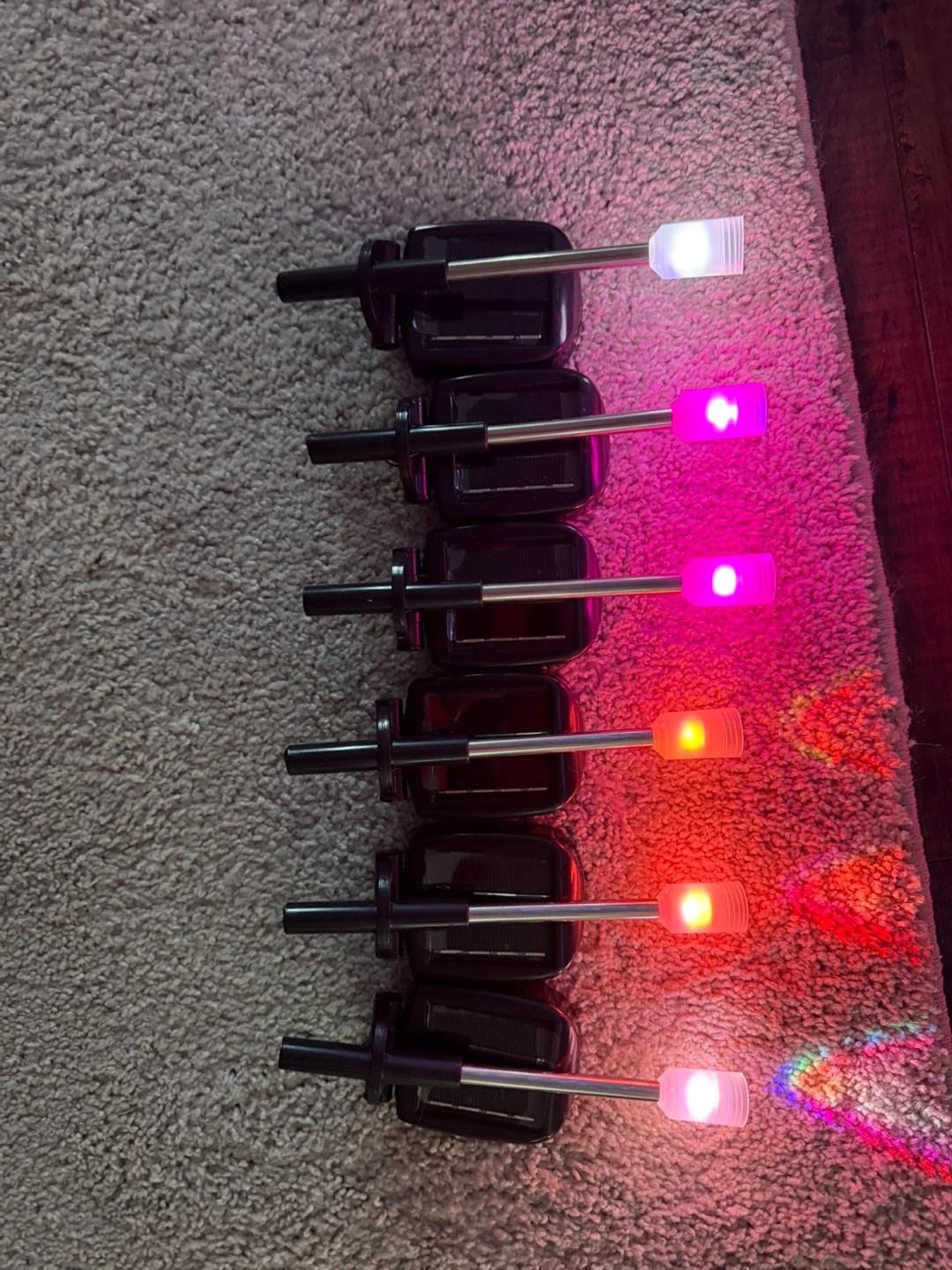 Solar Christmas Tree Garden Lights – Set of 6 ✨🎄 - photo 5
