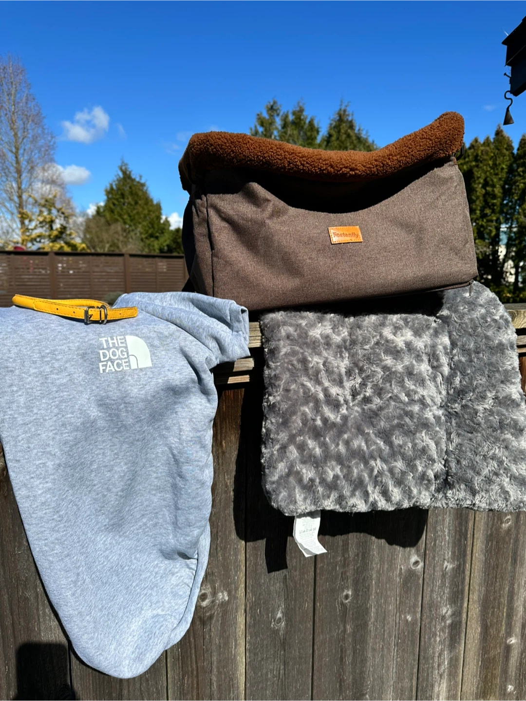 4 items- Travel Dog Bed/Booster, Sweatshirt, and Collar Bundle