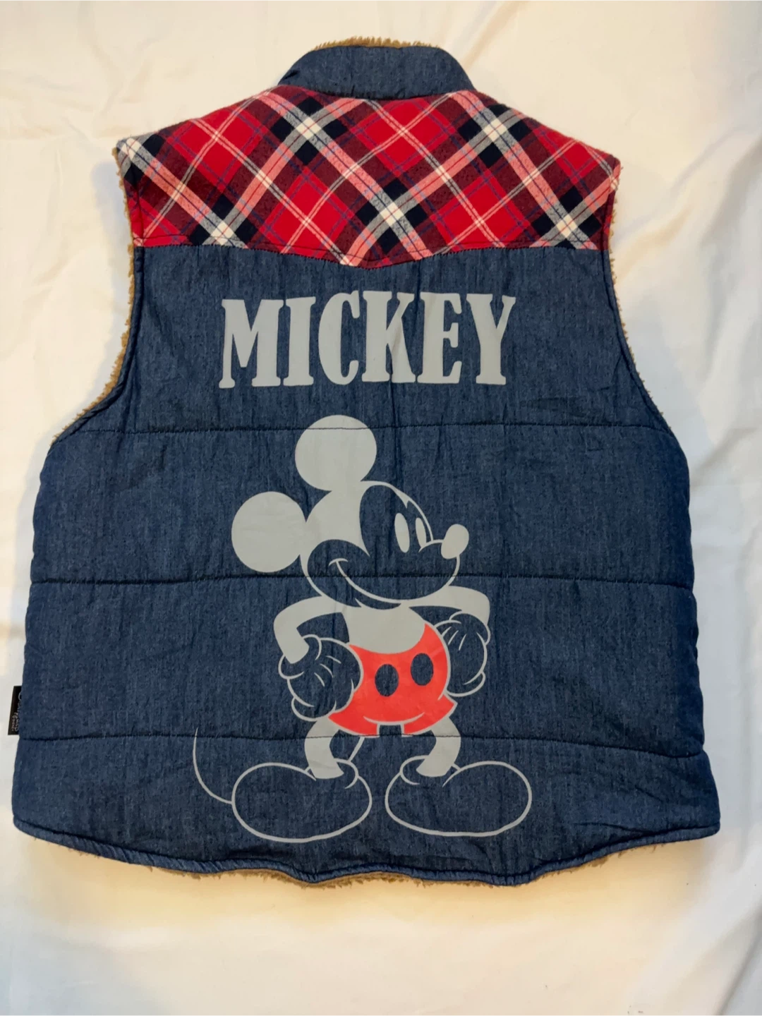 Disneyland Hong Kong Mickey Mouse Vest