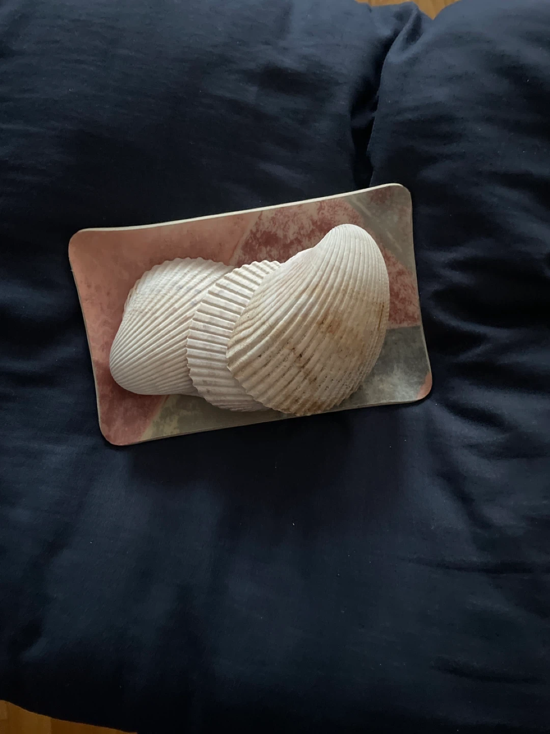 Decorative Seashell Dish