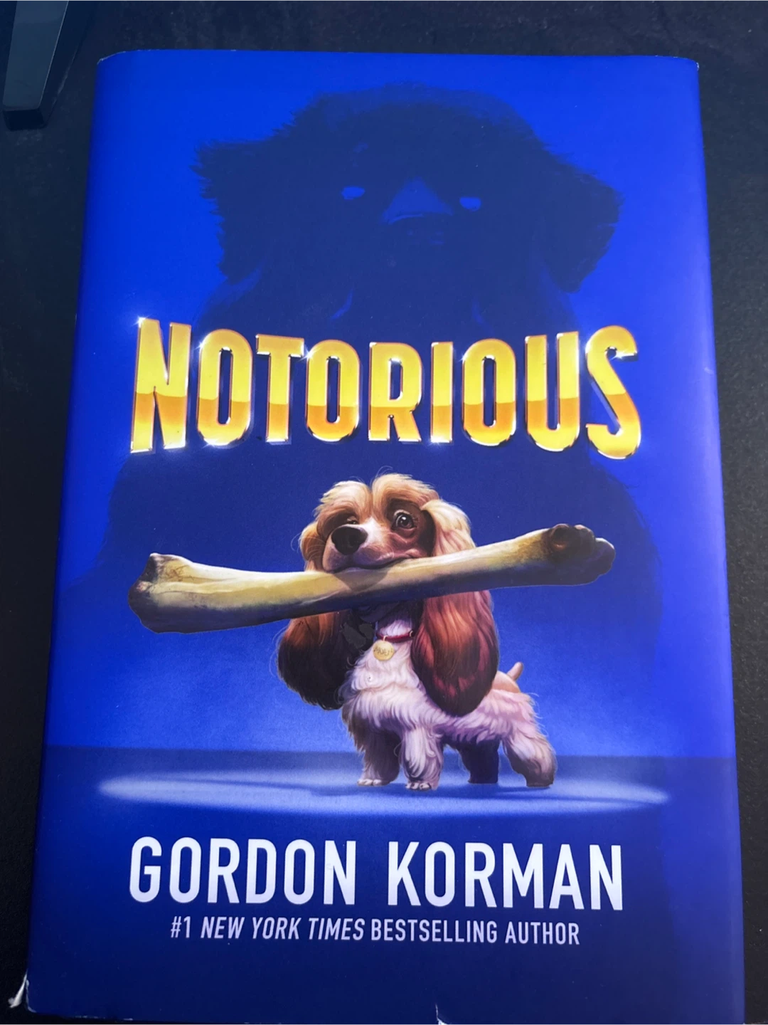 Notorious by Gordon Korman