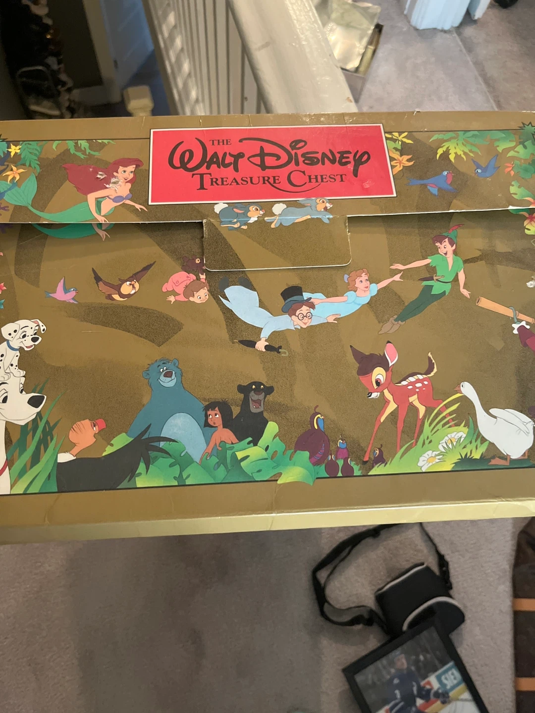 The Walt Disney Treasure Chest Box