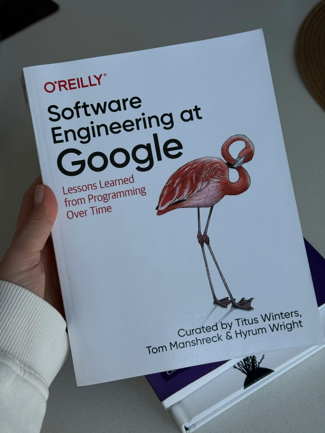 Software development books - photo 3