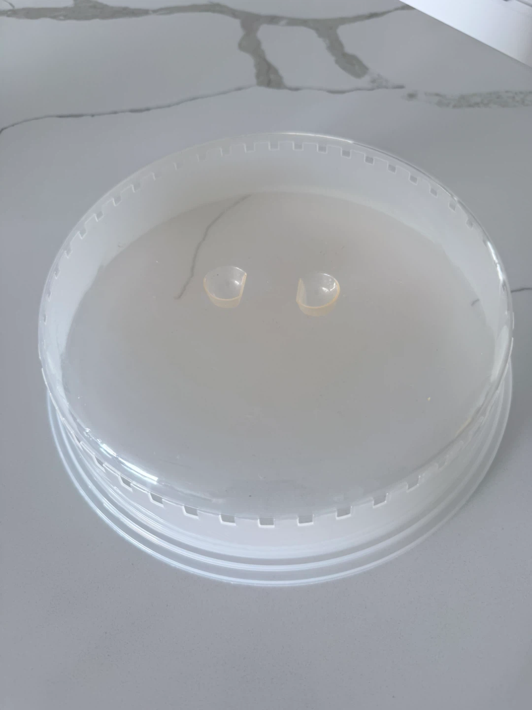 Microwave Splatter Cover