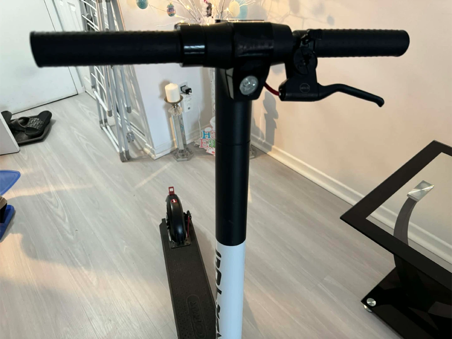 GOTRAX Electric Scooter - photo 2