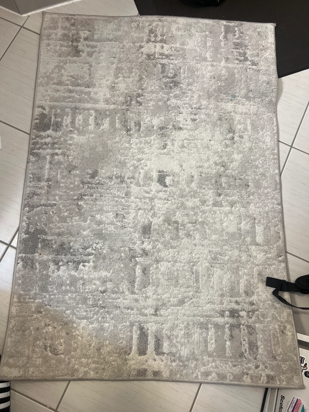 Area Rug - photo 2