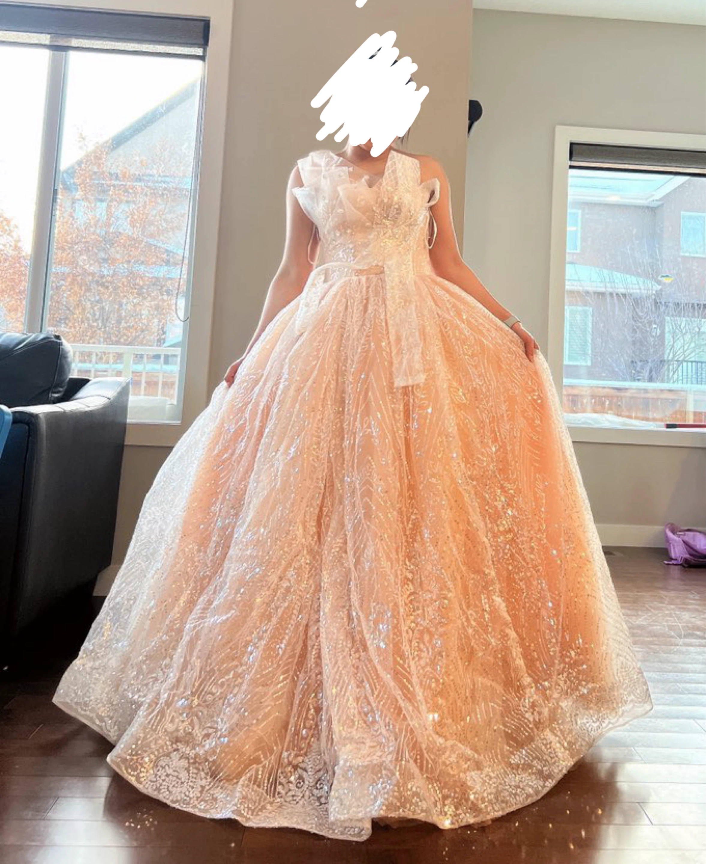 Sparkly Ball Gown