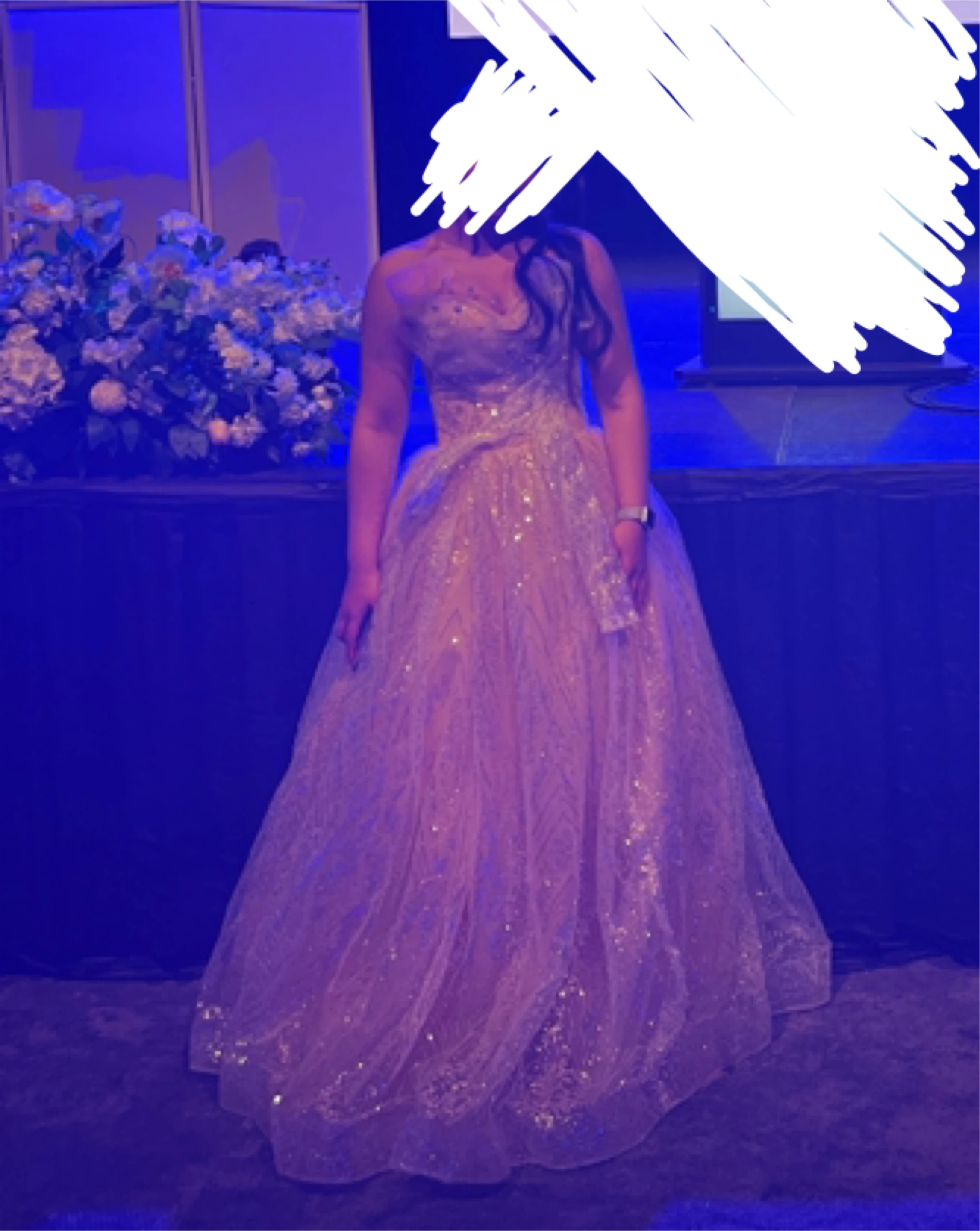 Sparkly Ball Gown - photo 3