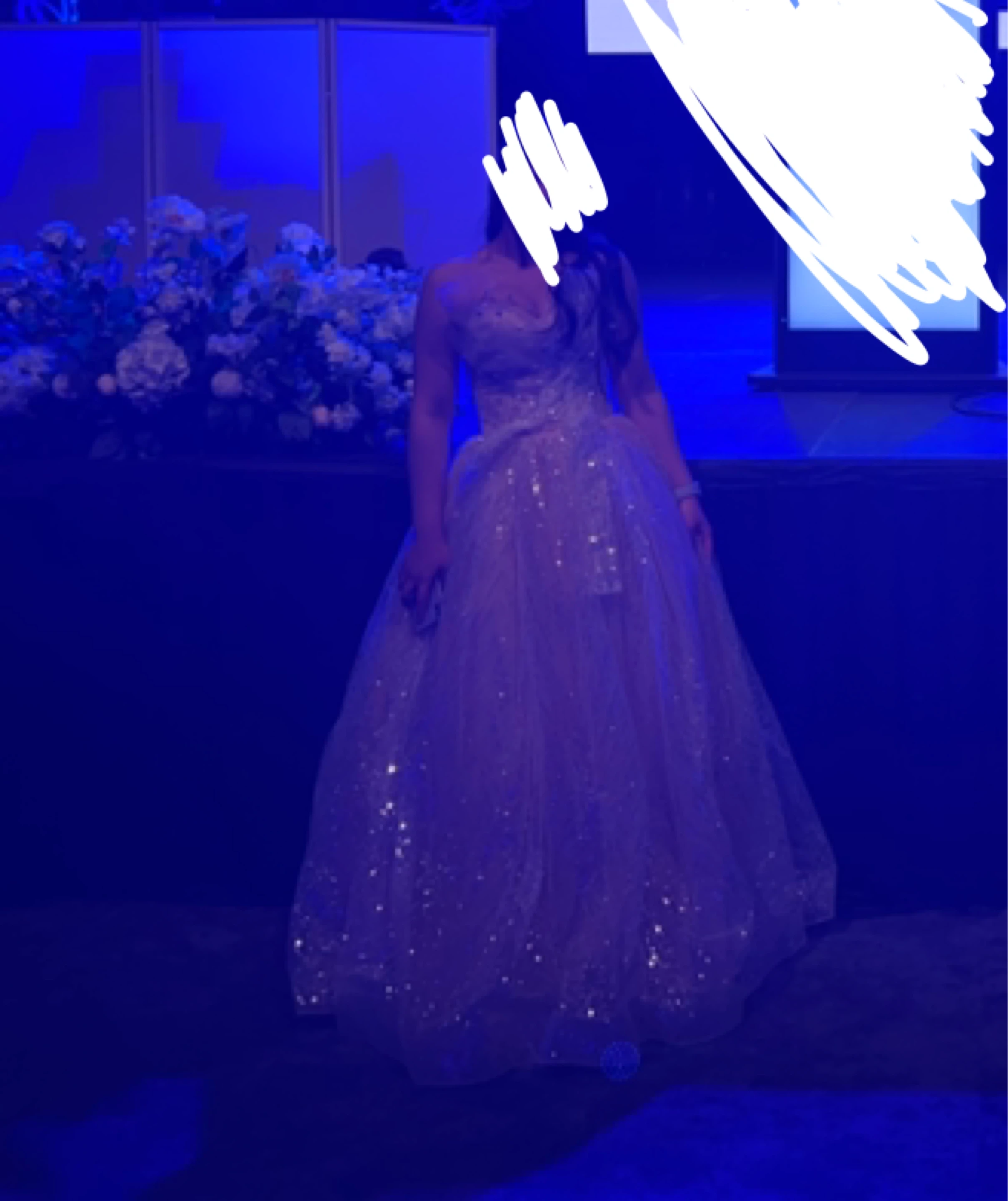 Sparkly Ball Gown - photo 4