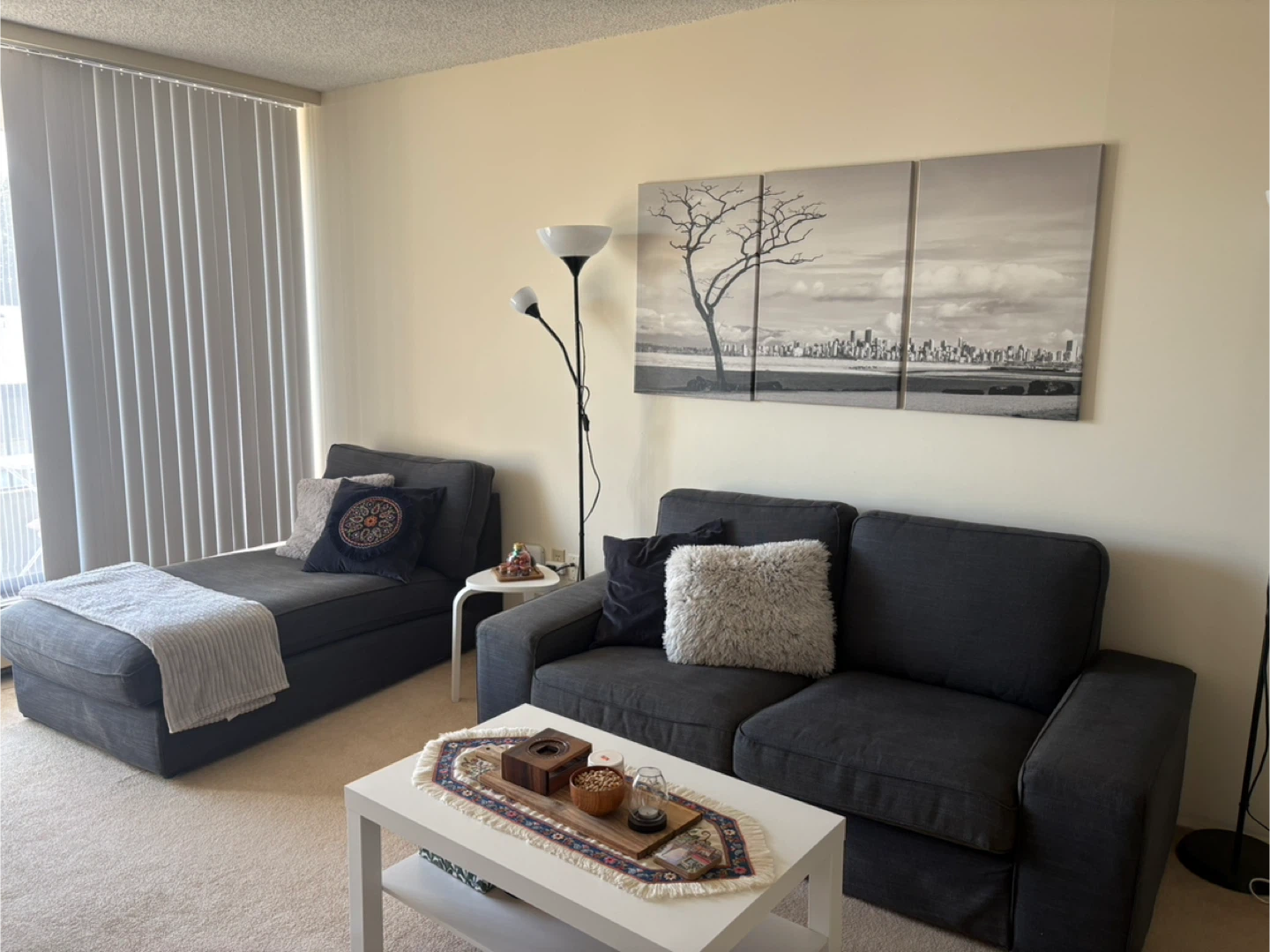 Dark Grey Sofa with Chaise