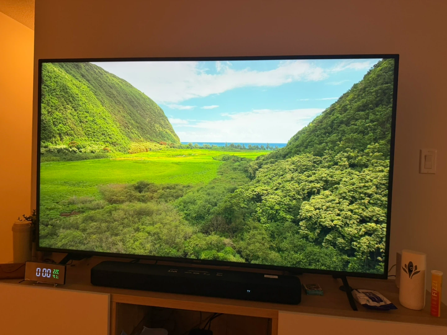 Sony Bravia TV and Soundbar