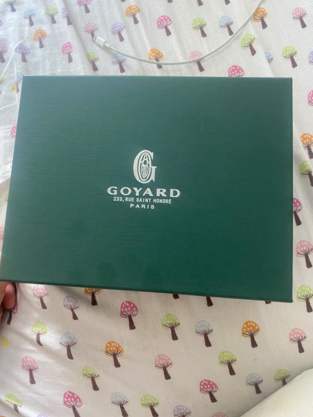Goyard Crossbody Bag