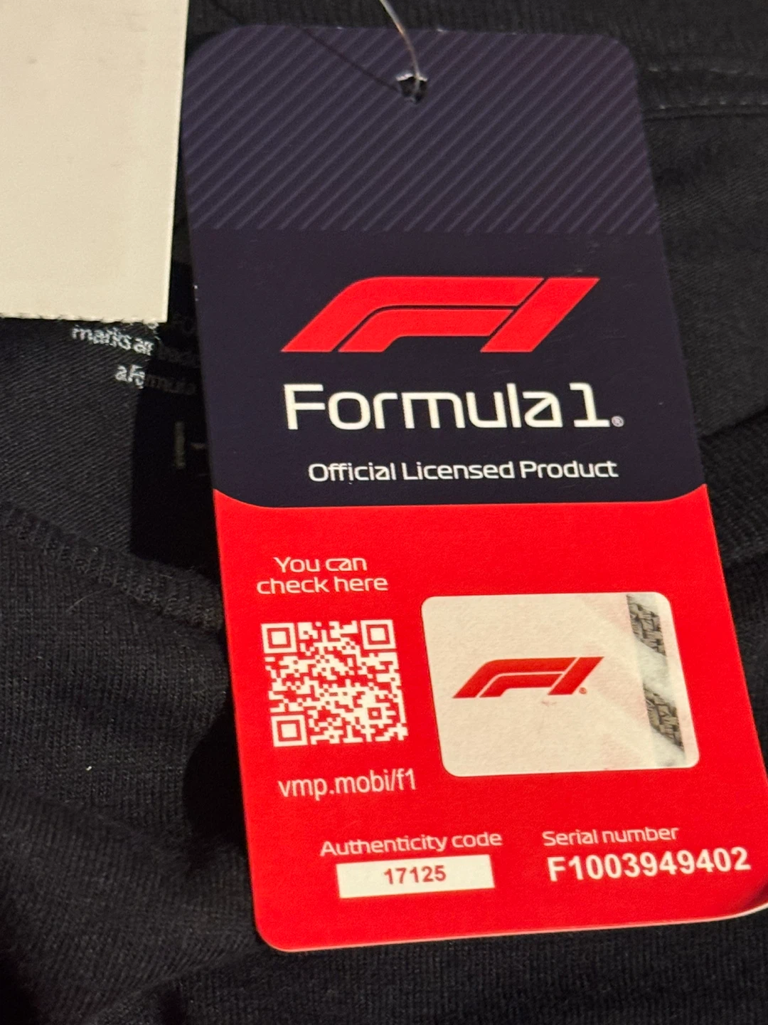 Formula 1 "The Pinnacle of Motorsport" T-Shirt XL - photo 5