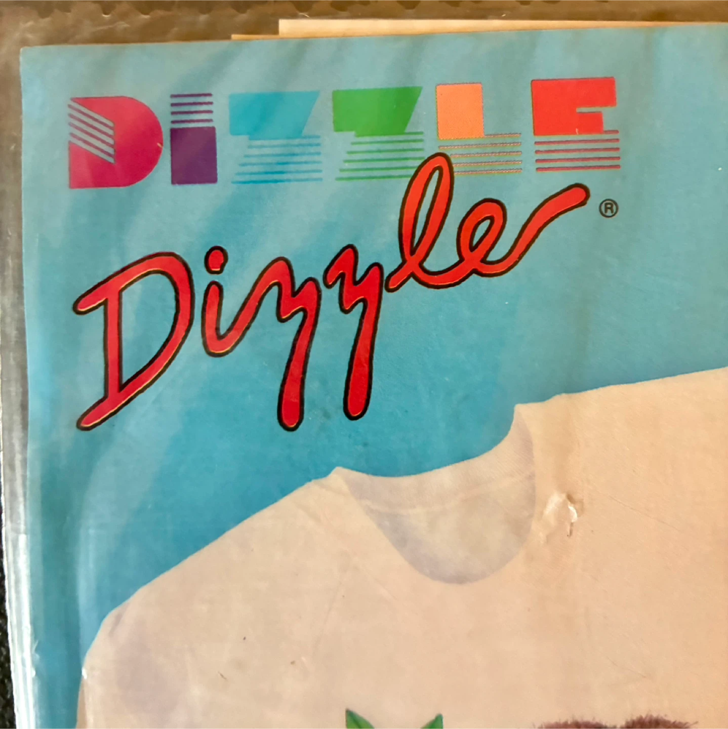 Dizzle Iron-On Transfer - Koala Design - photo 5