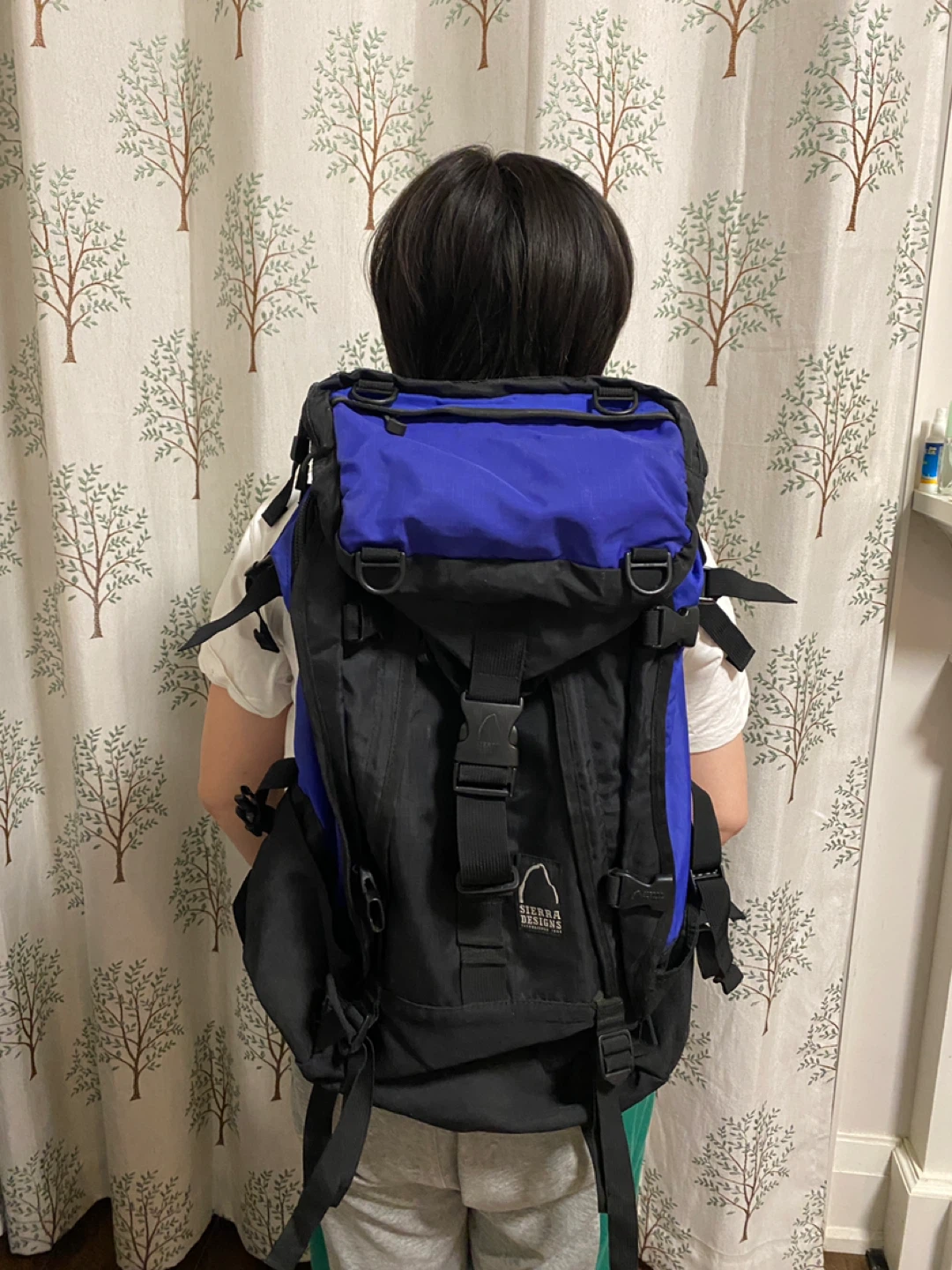 Sierra Designs Backpack - Blue and Black - photo 4