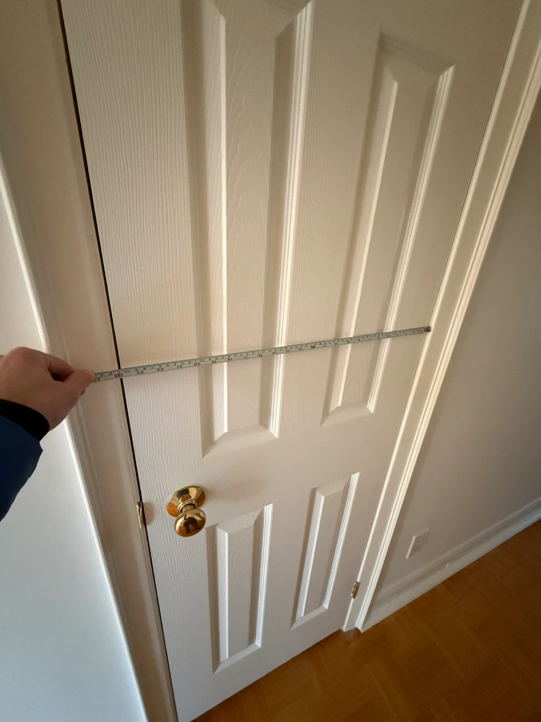 White Interior Door with Brass Handle