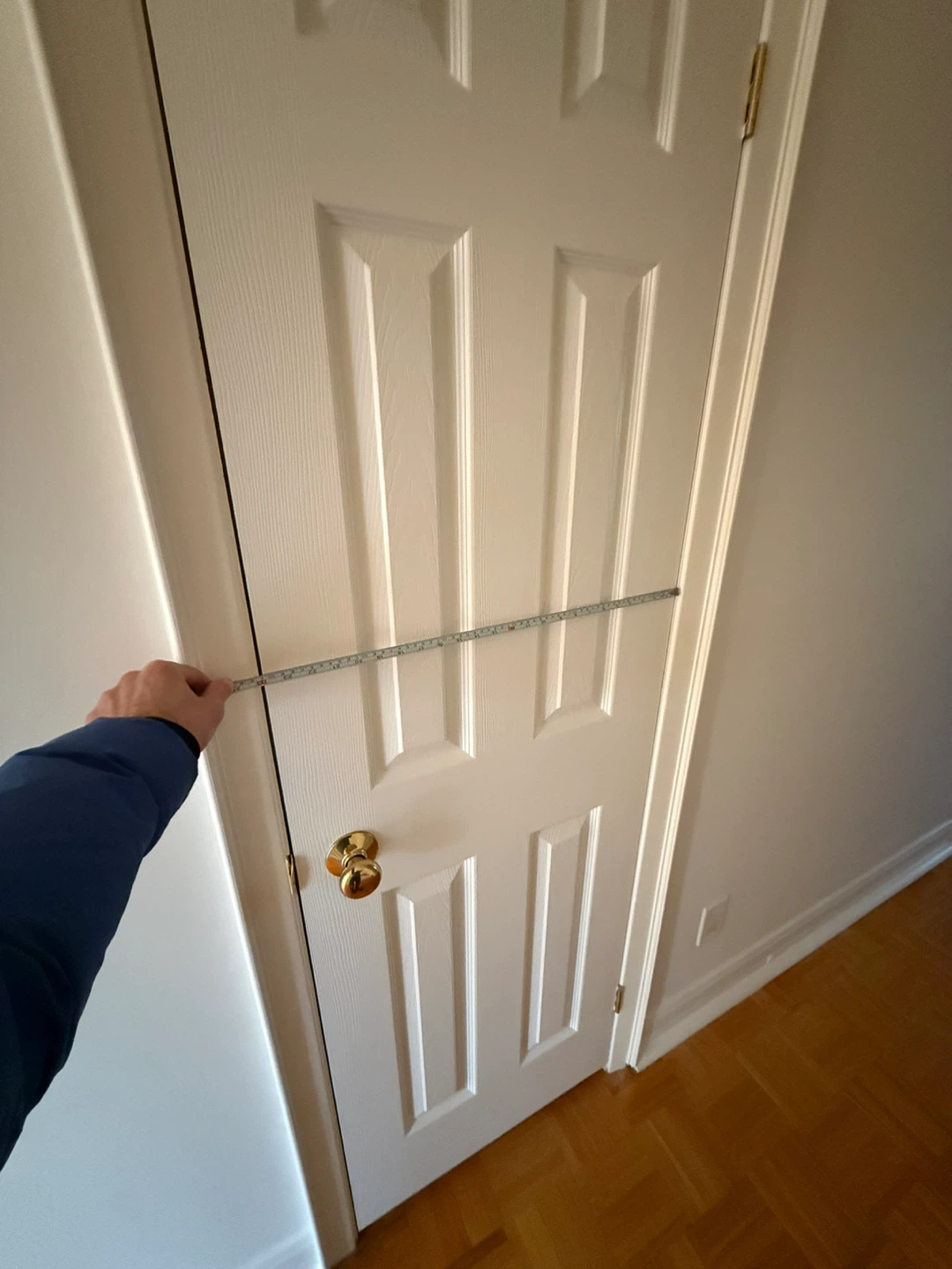 White Interior Door with Brass Handle - photo 2
