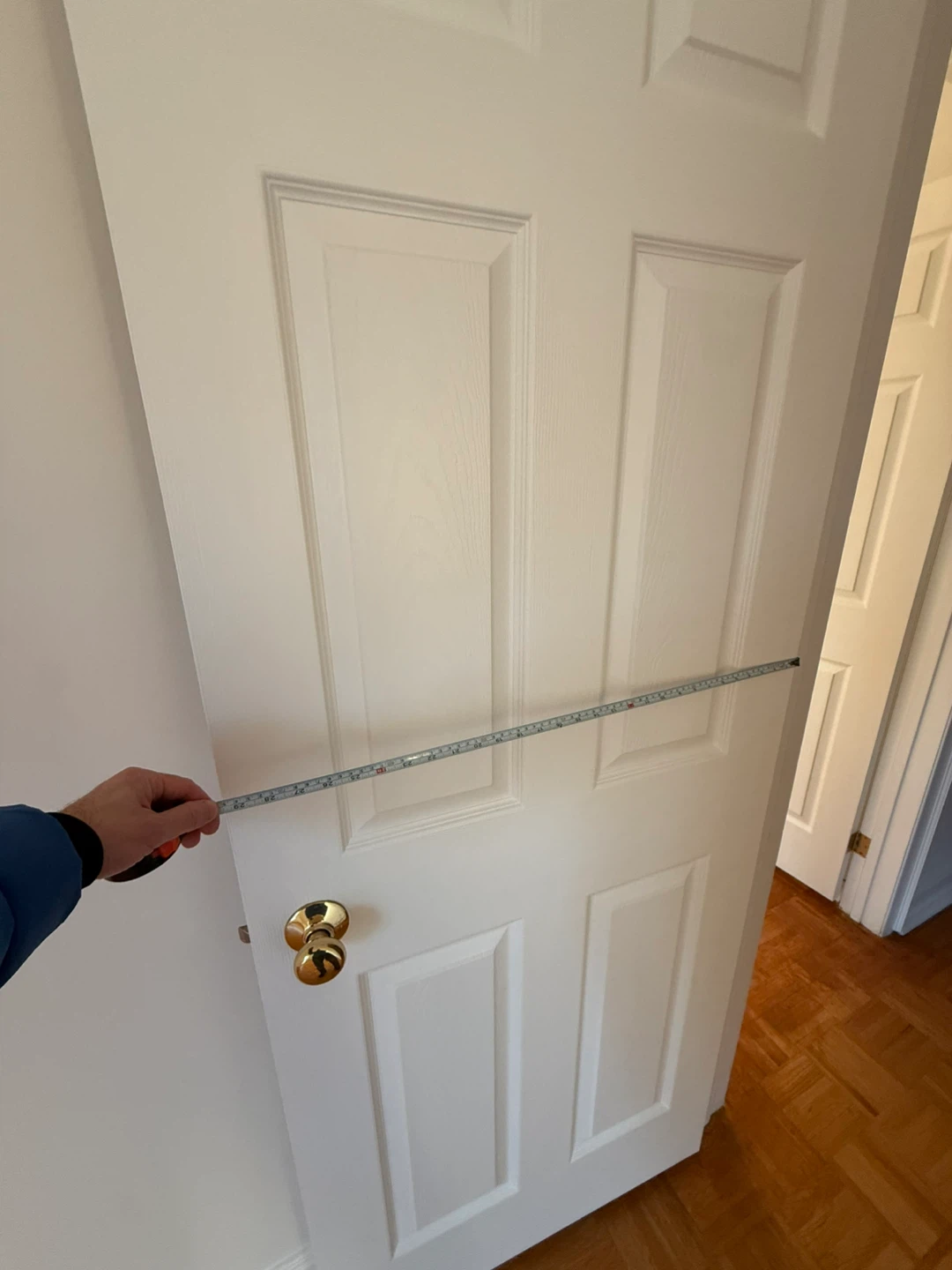 White Interior Door with Brass Handle - photo 3