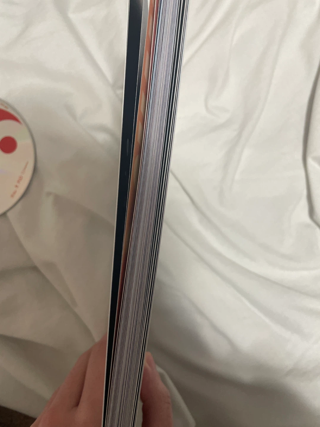 Stray Kids KARMA photobook + KARMA CD + 9 small posters - photo 5
