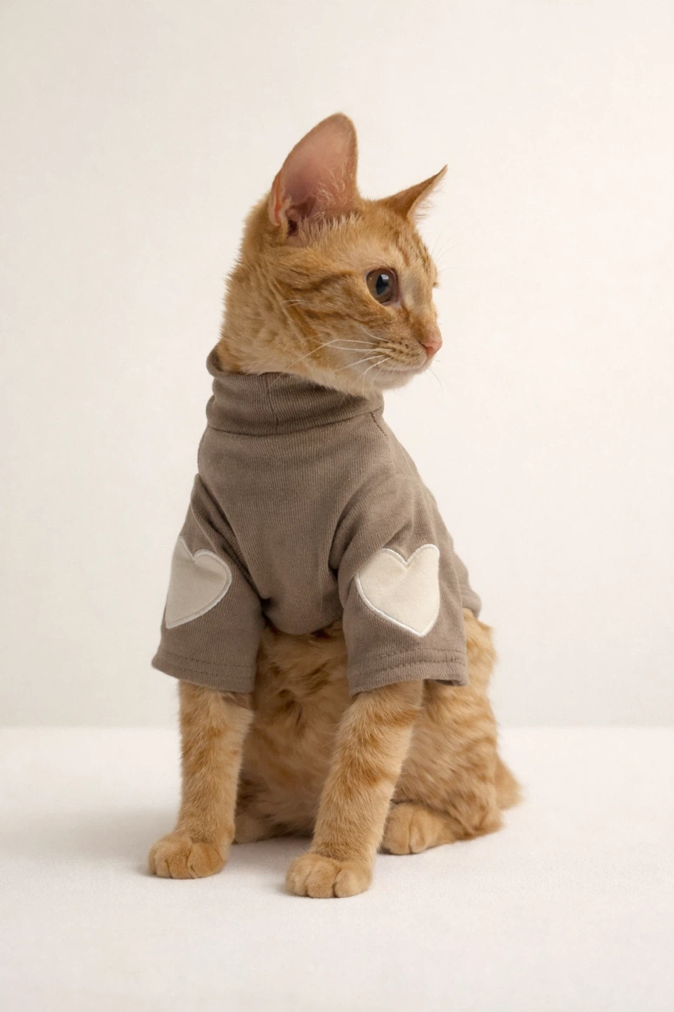 Cat Sweaters / Small Pet Clothes – New - photo 2