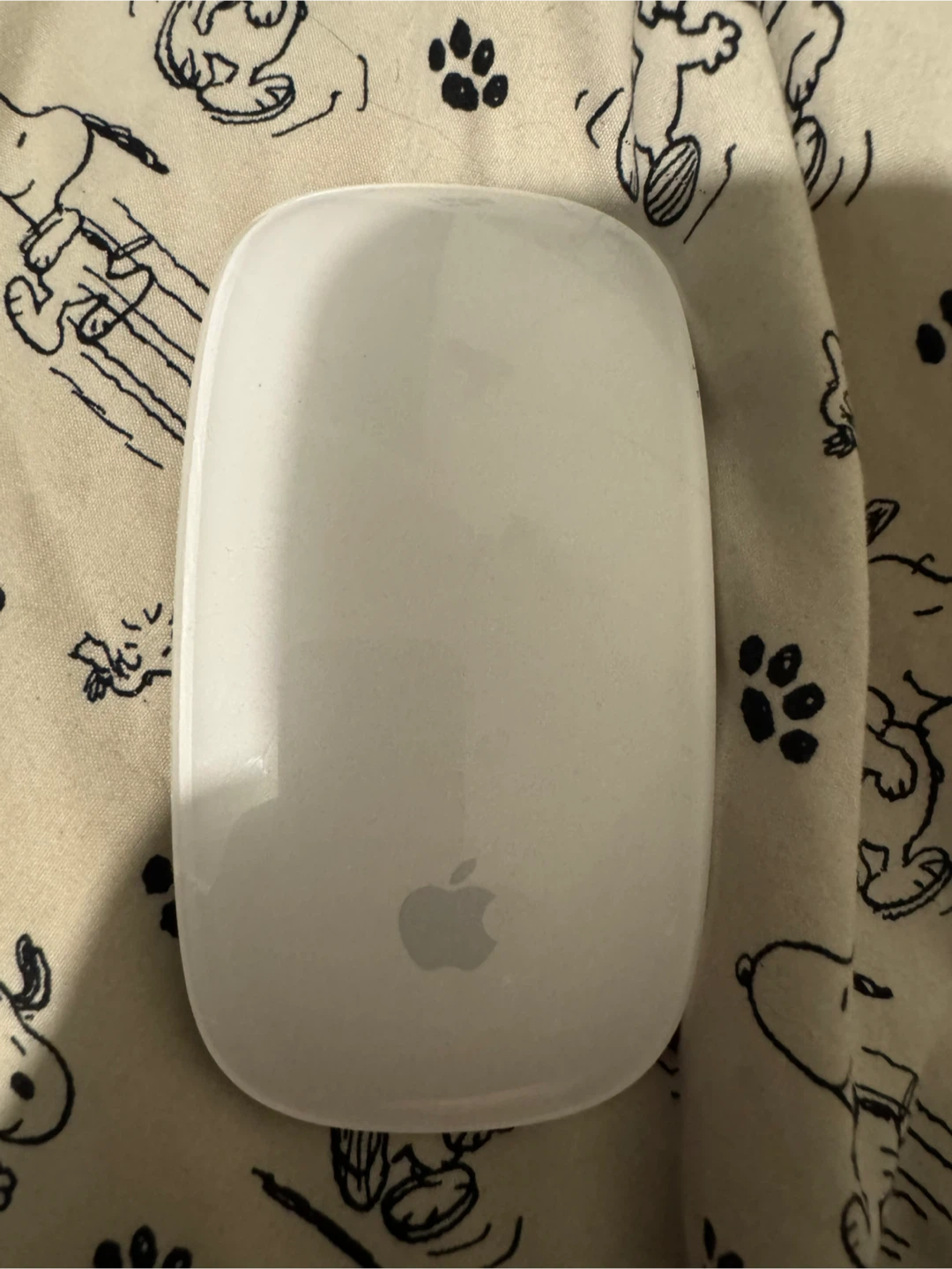 Apple Magic Mouse