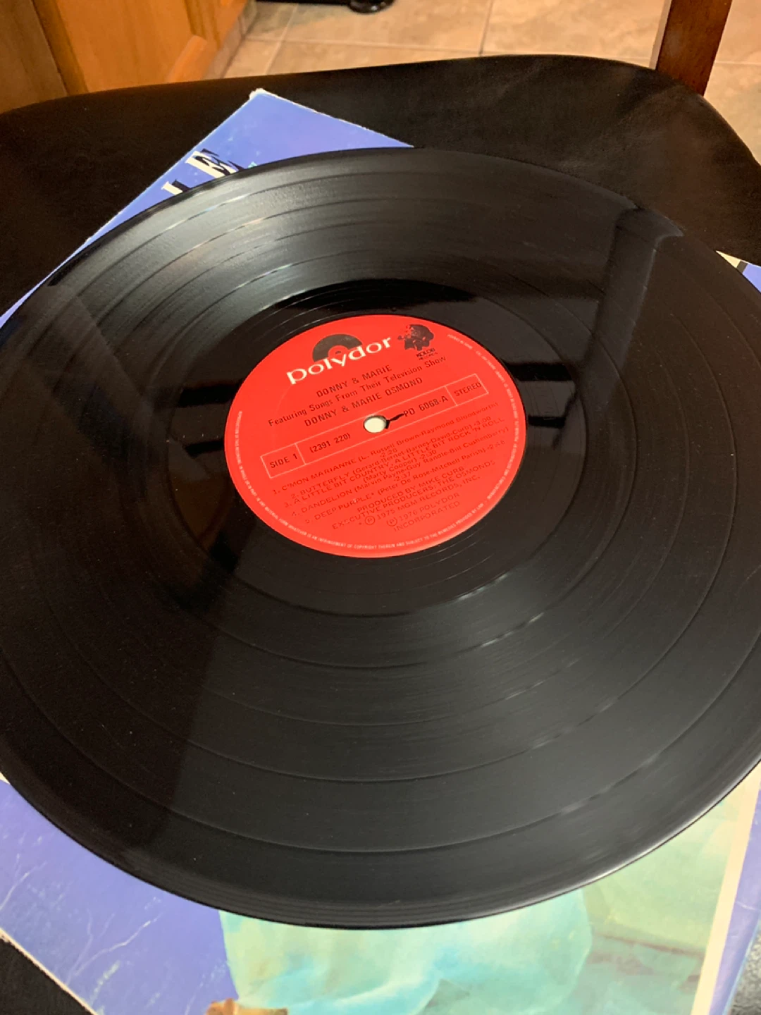 Donny & Marie Featuring Songs Show Vinyl - photo 3