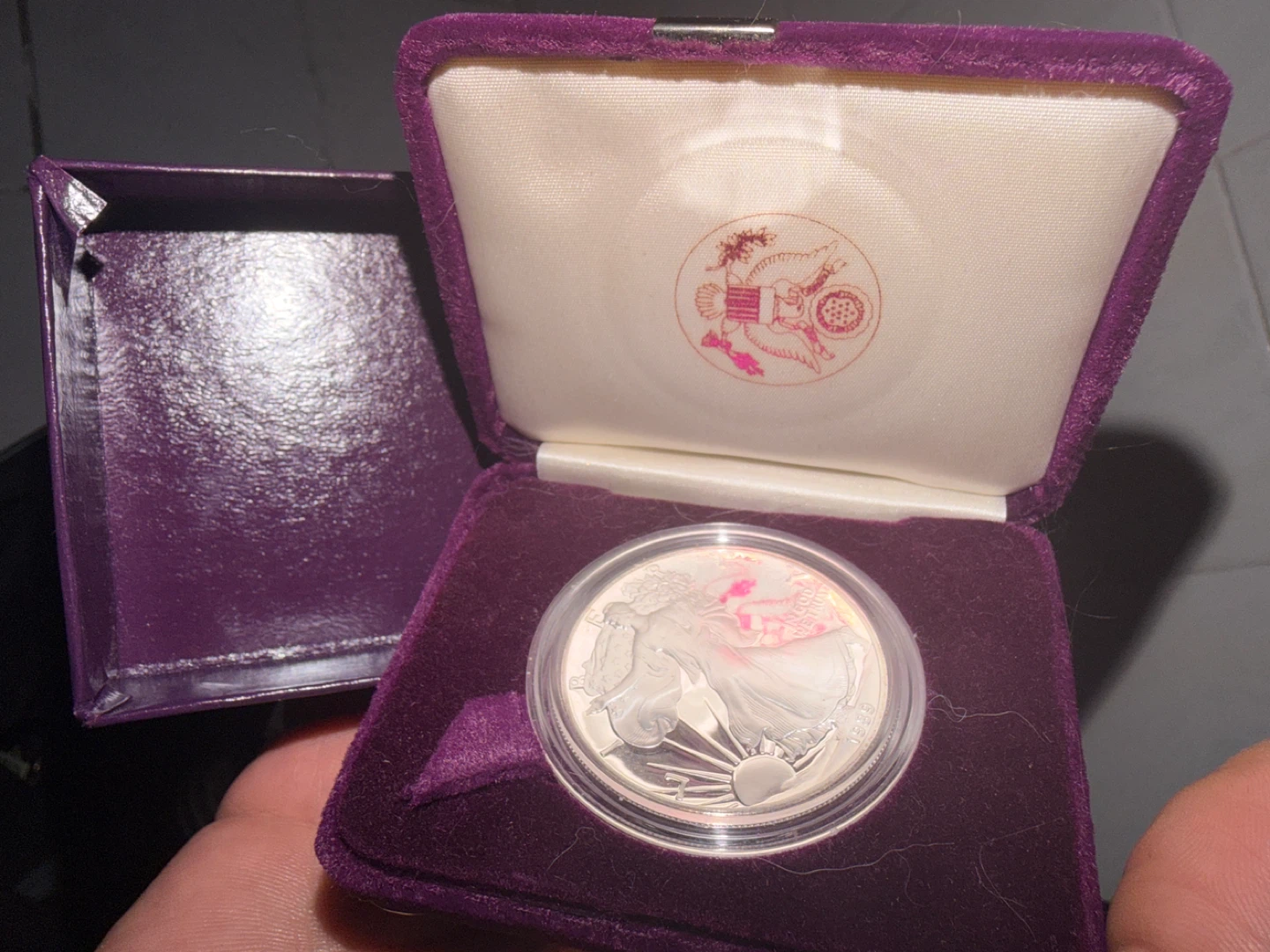 1989 American Eagle Silver Dollar Coin