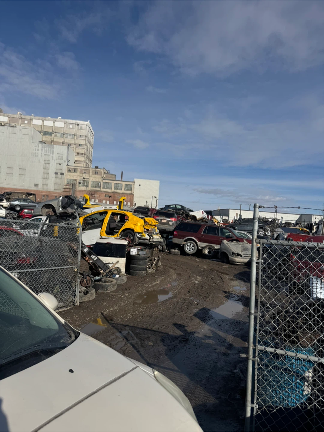 Cash for junk cars - photo 4