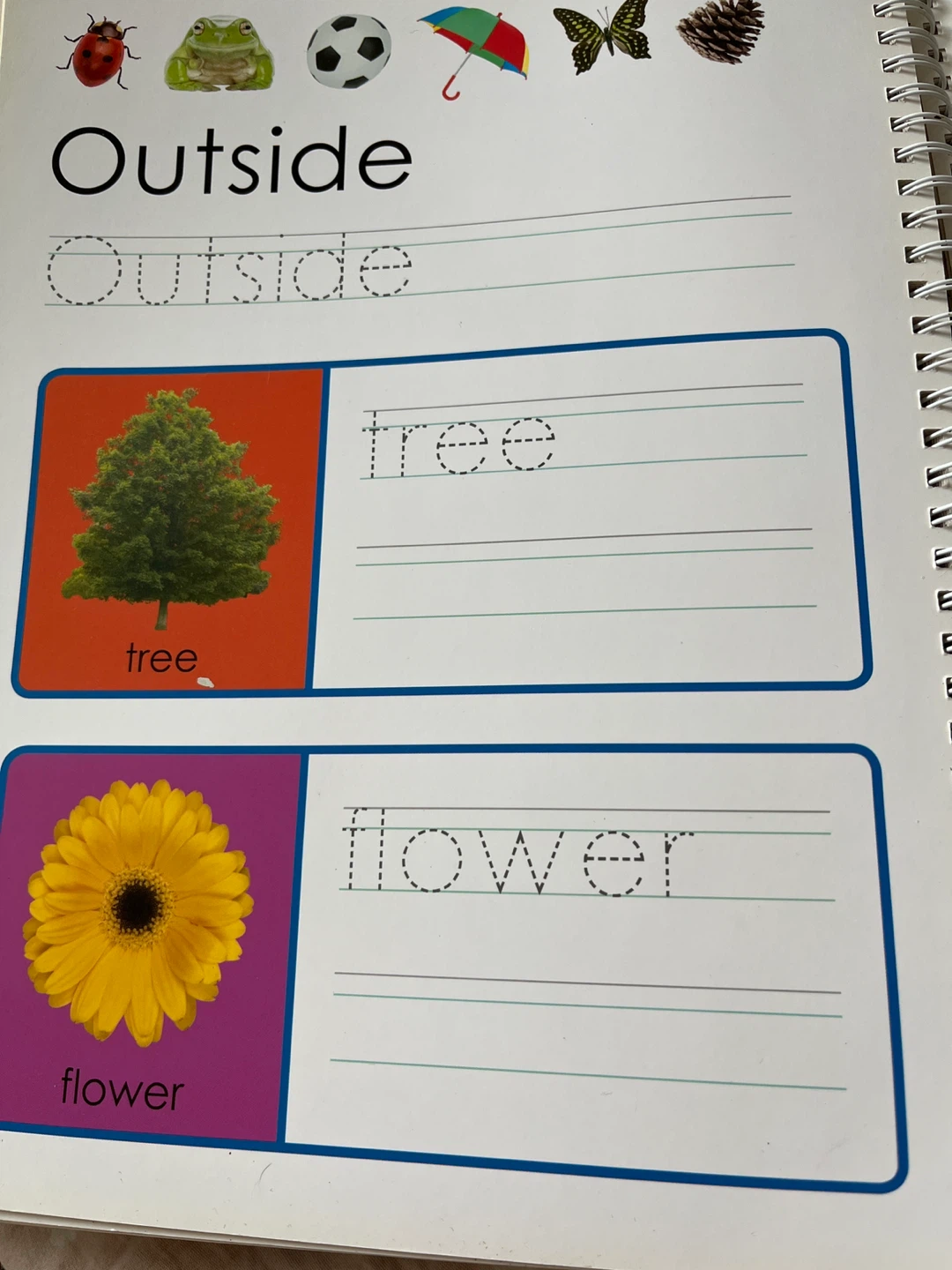 Priddy Learning First 100 Words Wipe Clean Activity Book - photo 3