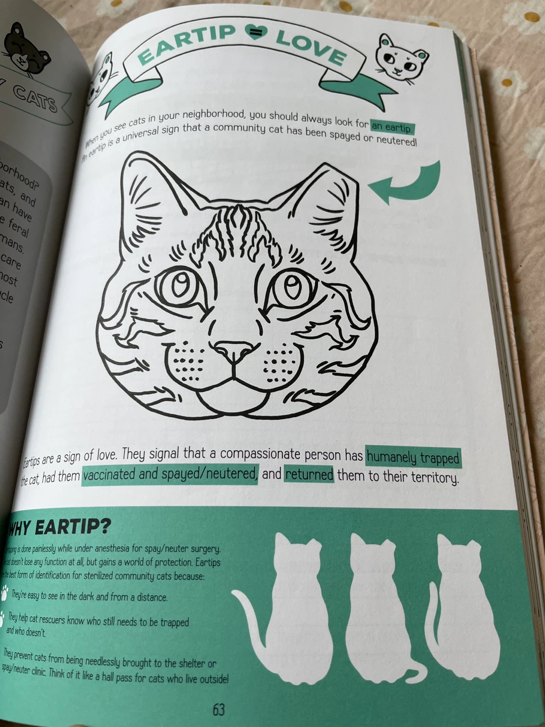 Kitten Lady's Cativity Book - photo 2
