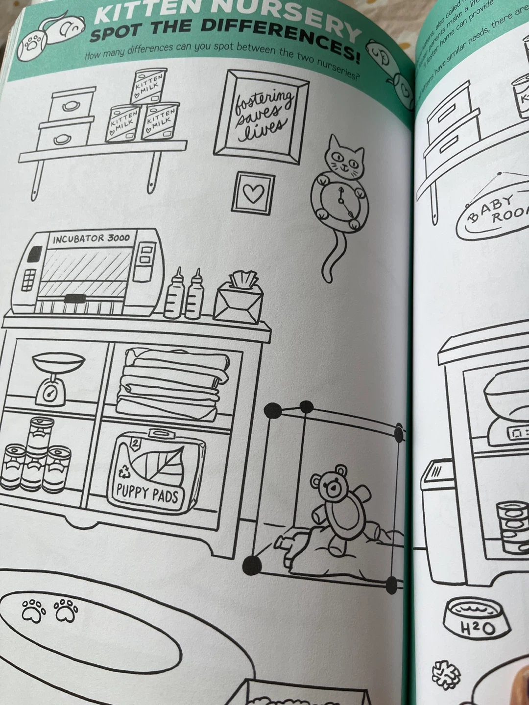 Kitten Lady's Cativity Book - photo 3