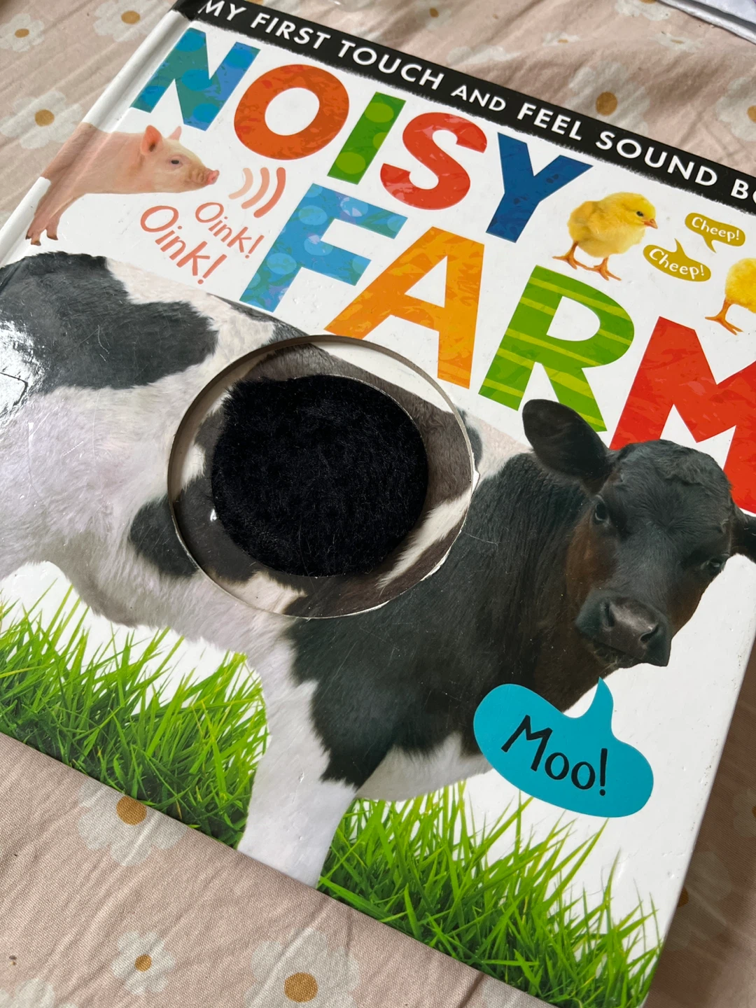 My First Touch and Feel Sound Book: Noisy Farm