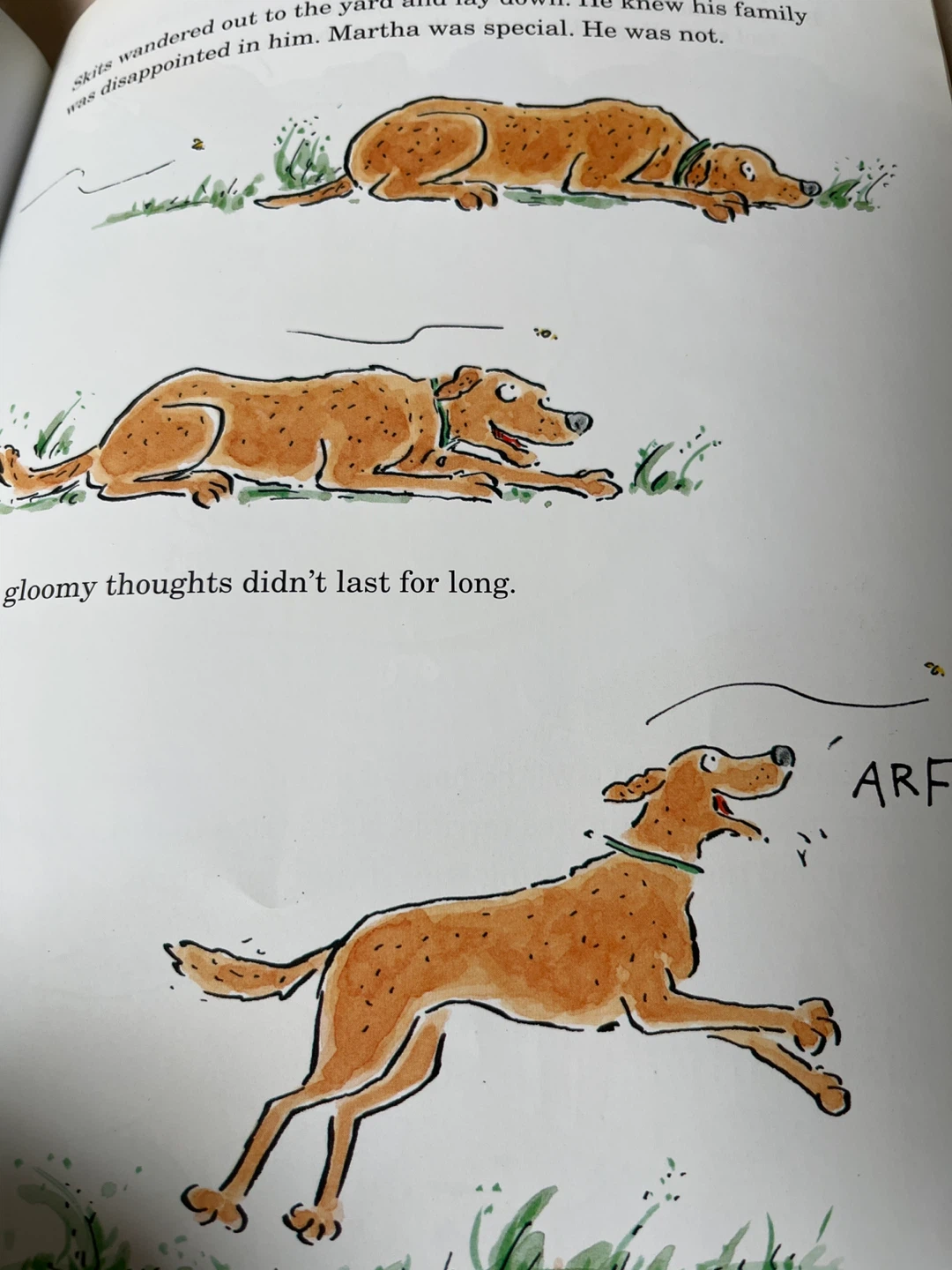 Martha and Skits Children's Book by Susan Meddaugh - photo 3