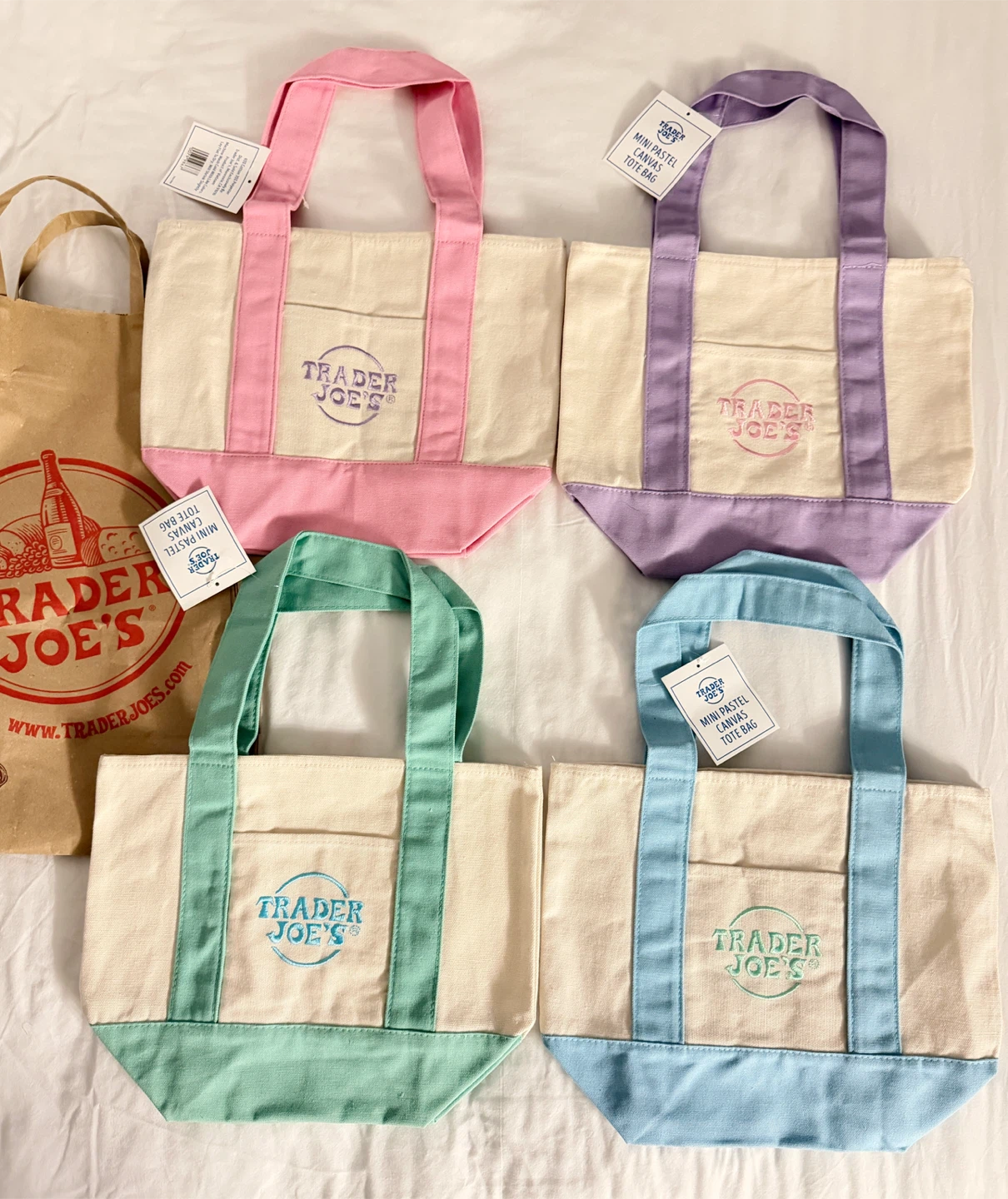 Trader Joe's Mini Pastel Canvas Tote Bag