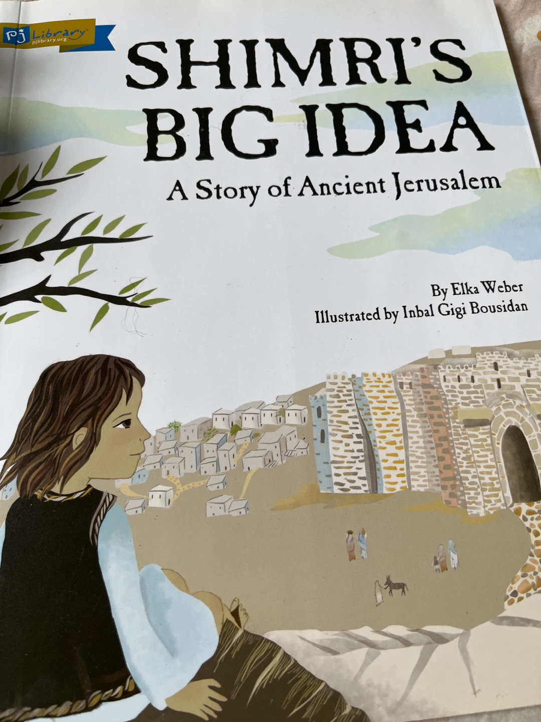 Shimri's Big Idea: A Story of Ancient Jerusalem Book